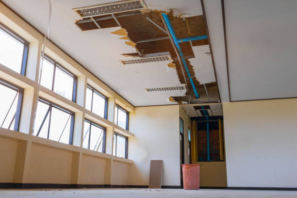 Best Water damage cleanup near me  in East Washington, PA