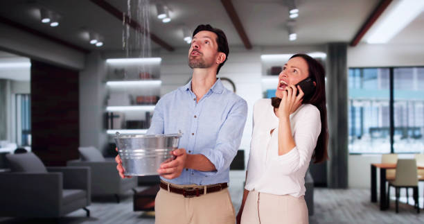 Best Water damage restoration near me  in East Washington, PA